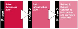 Phase 1 - Build Awareness in 2019, Phase 2 - Build Infrastructure in 2020, Phase 3 - Research and Expand Services to Help Victims and Providers in 2020-2021