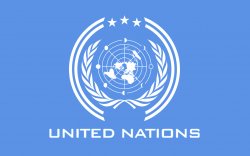Blue and white United Nations logo