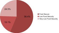 Pie graph for food security 2019