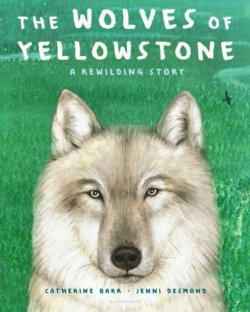 Cover of The Wolves of Yellowstone: A Rewilding Story by Catherine Barr, illustrated by Jenni Desmond