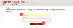 Device management portal login screen