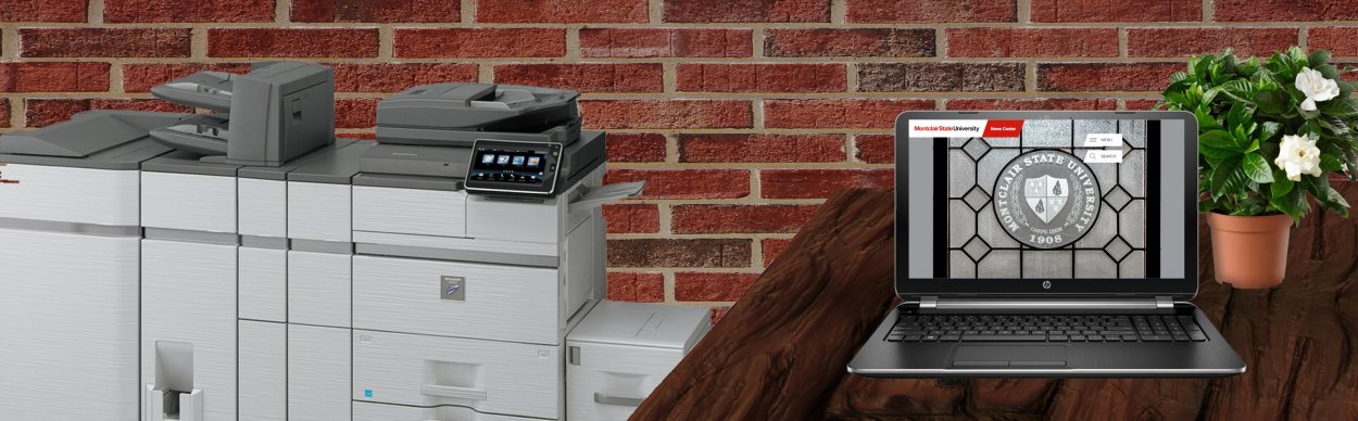 sharp network printer not printing