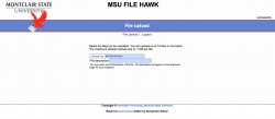 MSU FileHawk file upload page