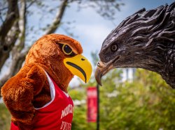 Rocky RedHawk facing hawk statue