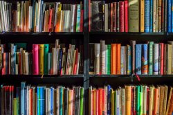 multicolor photo of a bookcase with books