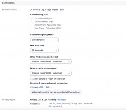 zoom phone call handling options