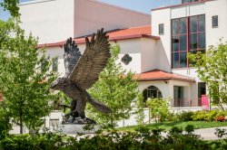 Image of the Red Hawk statue on campus in front of Kasser Theater.
