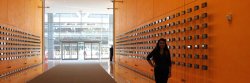 Photo of Renzo Piano Building Interior