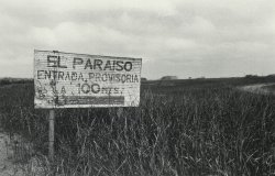 El Paraiso Paola Agosti