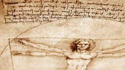 Photo of Vitruvian Man by Leonardo DiVinci