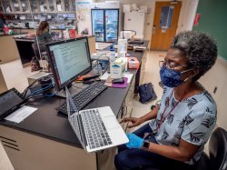 Professor Sandra Adams sitting at laptop wearing mask in laboratory