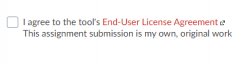 screenshot showing turnitin's end user agreement prompt