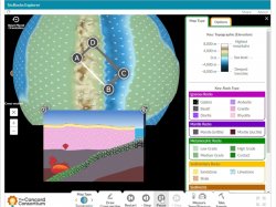 Screenshot of an online simulation.