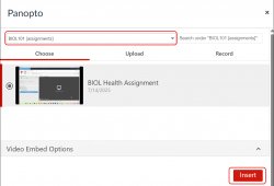 Choose Panopto video selected with an Insert button.