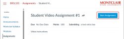 Start Assignment button