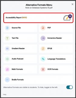 Accessibility Report button