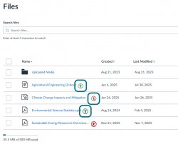 The Accessibility Score icons are highlighted on the Canvas Files section.