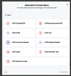 Different types of OCR formats after clicking on the OCR Formats button.