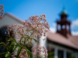 Montclair State campus during summer.