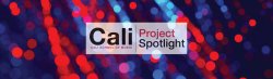 Cali Project Spotlight