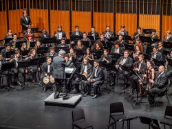 Wide view of orchestra