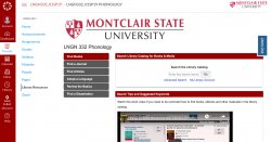screenshot of lngn332 library resources tab