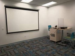 Projector screen and podium