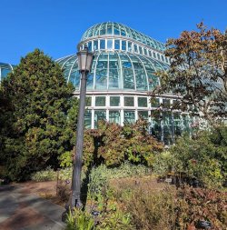 brooklyn botanic garden