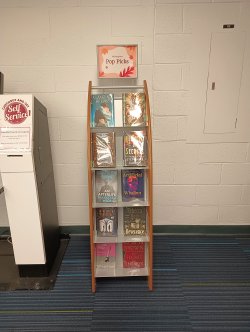 pop picks shelf with leisure books