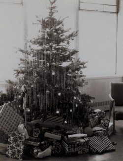 christmas tree in russ hall