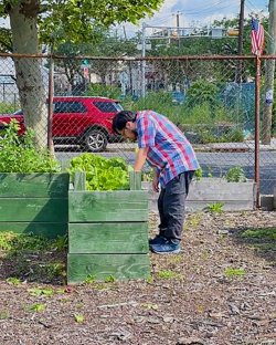 Arnold Rosas at Down Bottom Farms in Newark