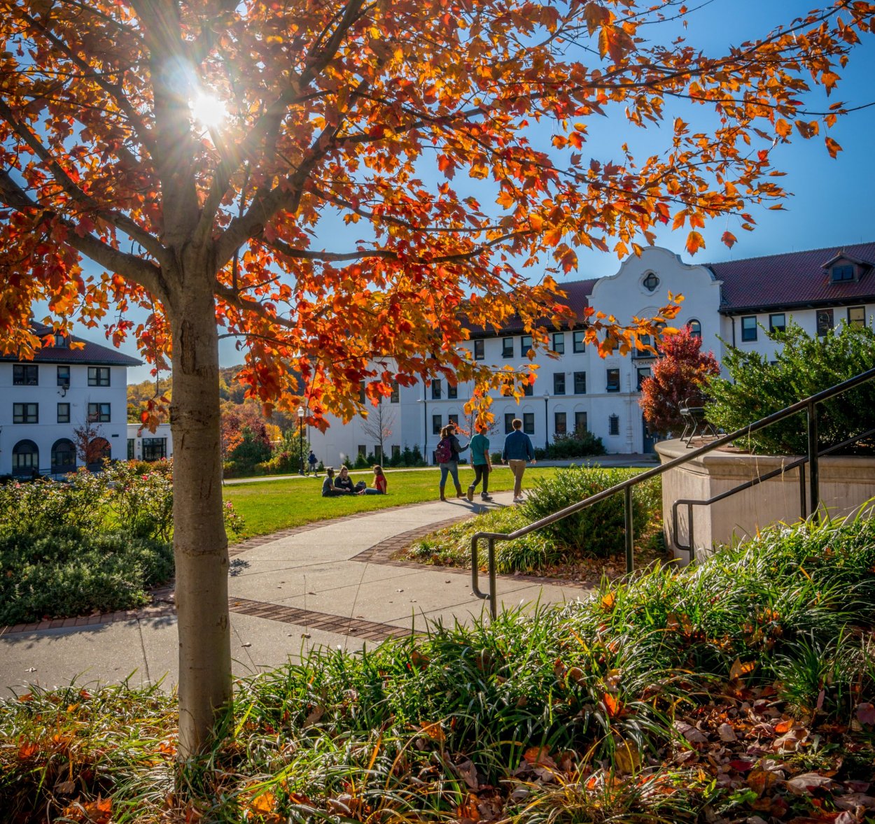 Montclair Cares Montclair State University