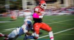 Feature image for Action-Packed Fall Season