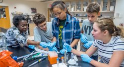 Biology Professor Sandra Adams (far left) assists Weston Science Scholars with an experiment.