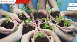 screenshot of sustainability website