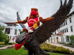 Rocky the Red Hawk wearing a mask while sitting on top of Red Hawk statue