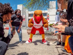 Rocky leads a huddle of students in a cheer
