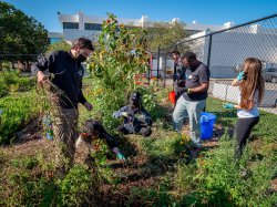 President Koppell and student volunteers weeding the Montclair State Community garden