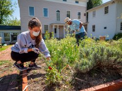 Students weeding and pruning in a garden