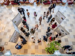 An overhead view of student presentation posters and attendees viewing them