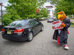 Rocky the red hawk holding sign "honk for the grads"