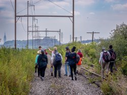 group of people walking alongside abandoned railroad tracks