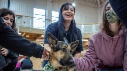 Three female students pet a German shepherd.