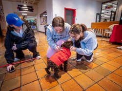 Three students play with a puppy.