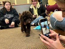 A student takes a picture with a phone of a puppy.