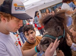 Two students pet a brown miniature horse.