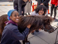 A student smiles at the camera as they pet a brown miniature horse.
