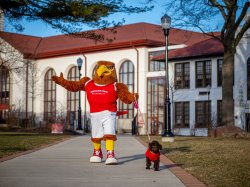 A student in a Red Hawk costume walks a brown puppy.