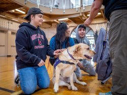 Three students pet a golden dog with a vest.