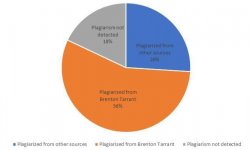 Pie chart showing plagiarism breakdown